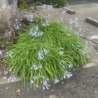 記事サムネイル