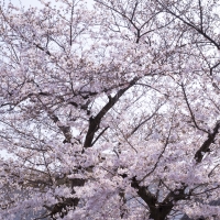 記事サムネイル